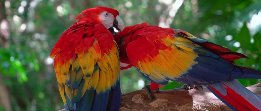 微信图片_20221203092504